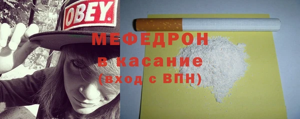 сатива Новодвинск
