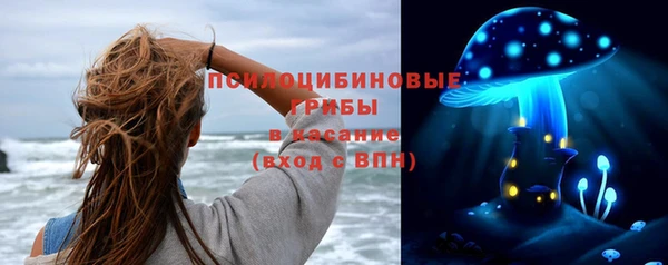 шишки Нягань