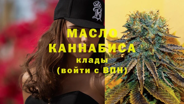 винт Няндома