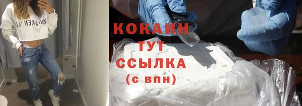 сатива Новодвинск