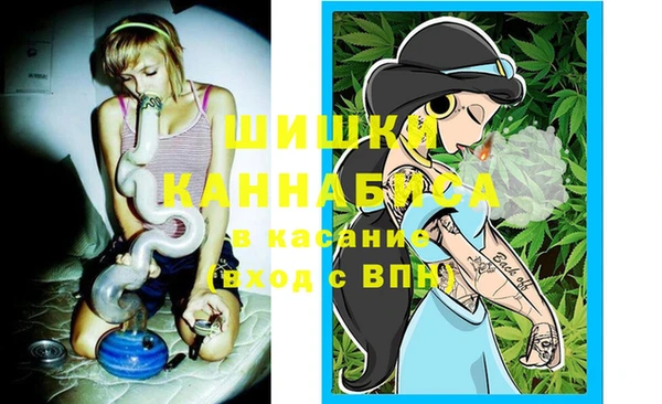 spice Новозыбков