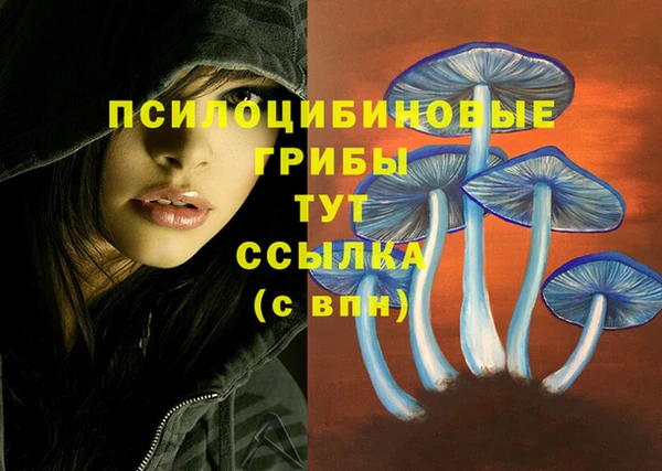 винт Няндома