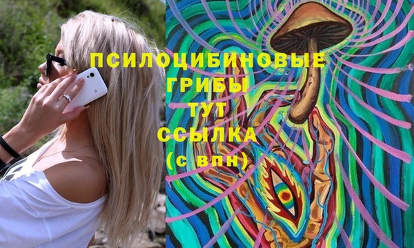 сатива Новодвинск
