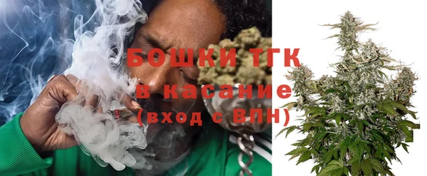 сатива Новодвинск