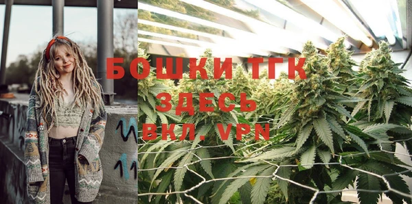 шишки Нягань