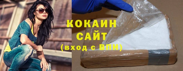 сатива Новодвинск