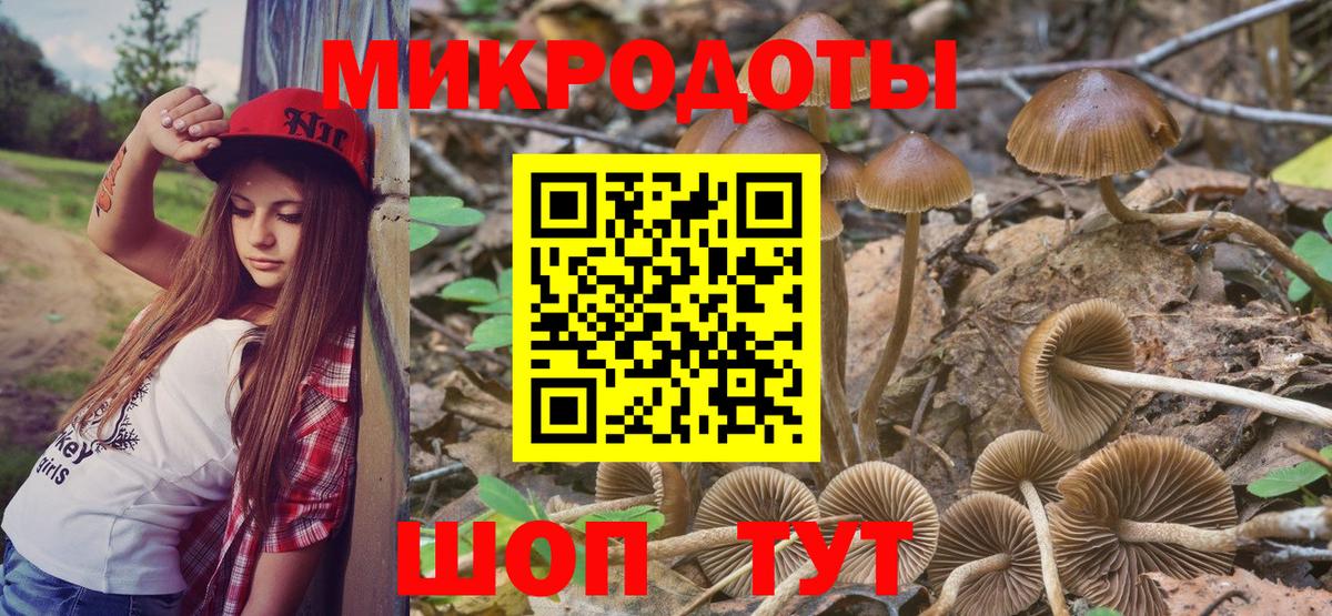 Ртищево  Псилоцибиновые грибы MAGIC MUSHROOMS  Вход с VPN  Галлюциногенные грибы Psilocybe 