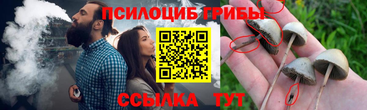 Псилоцибиновые грибы прущие грибы Ртищево